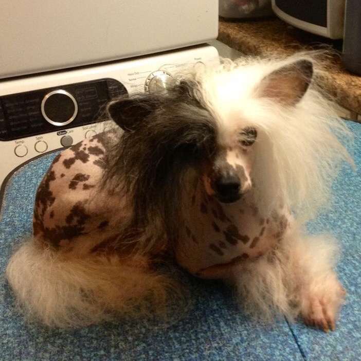 Savana Taylor T Streckenrider