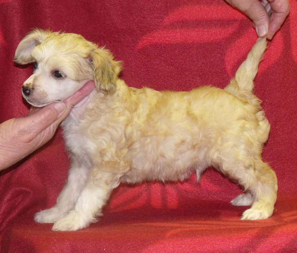 Qigous First Out into the Light