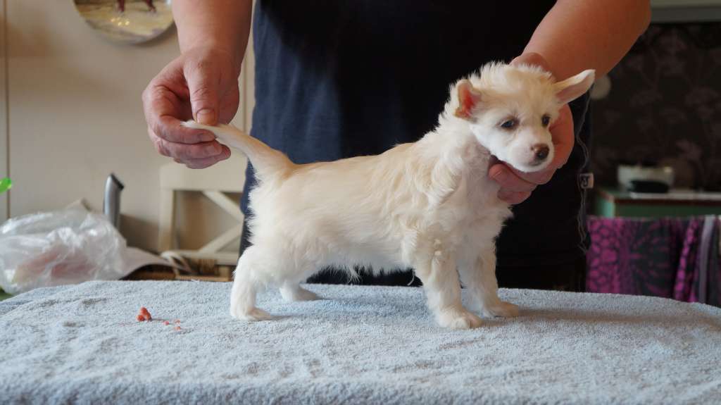 Berlottan James Hall