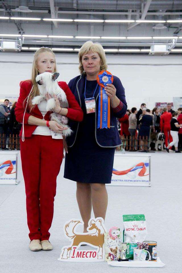 Ins Lucky Star Germiona