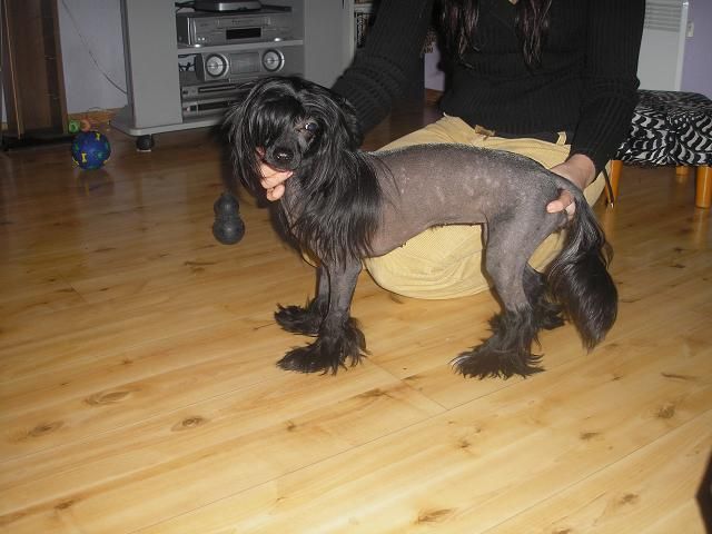 Pinky Twinky Afrodite Goddess