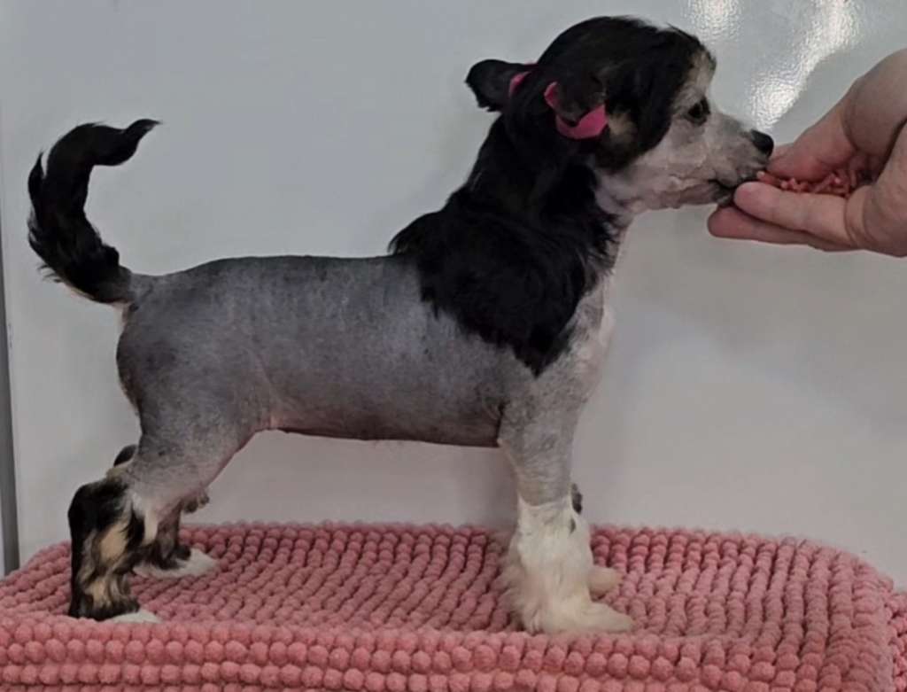 Kaitlin Heartstopper Winner