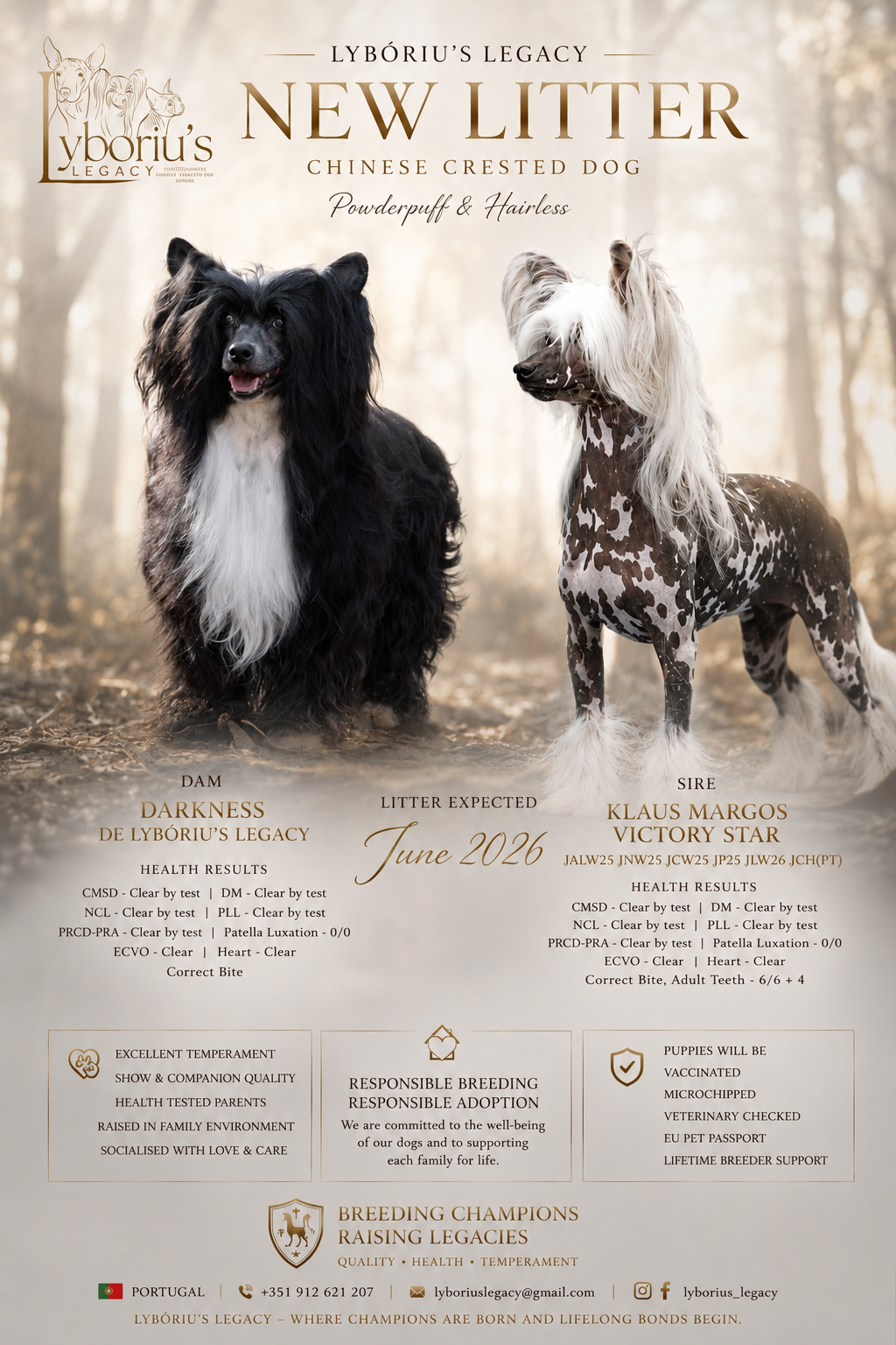 Lybóriu?s Legacy