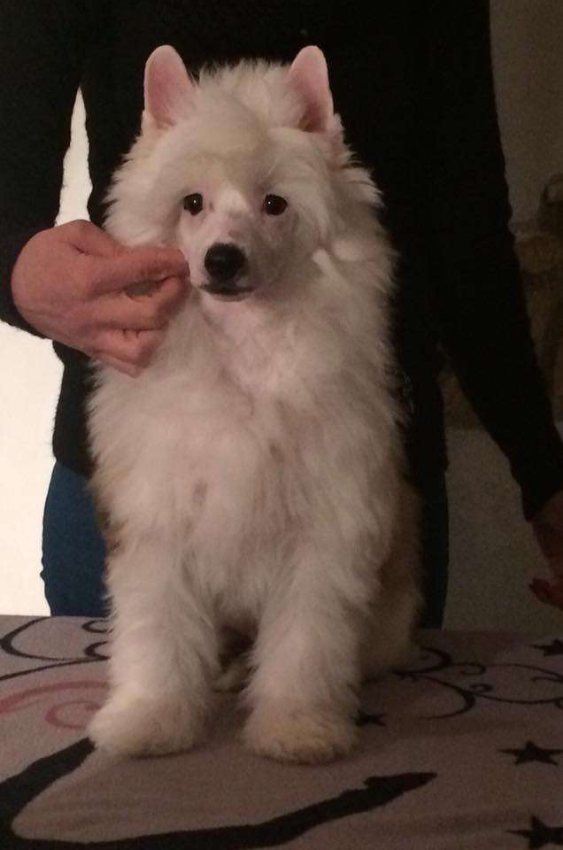 Nettuno dio dei mari di casa megi