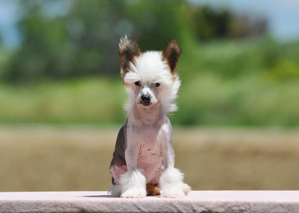 Victory's Laurel River Runs Deep