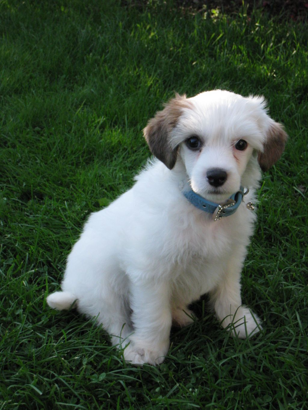 Sun Dan Texas Hold'em