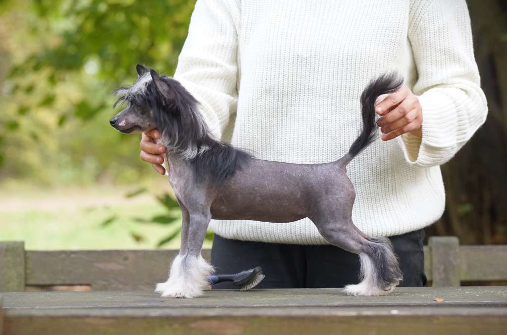 You Can't Stop Me Heybett