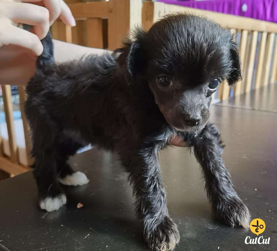 Nightstorms Let It Go