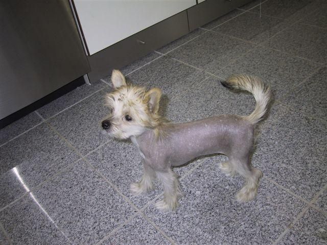 Lucky Line's Diversity Girl