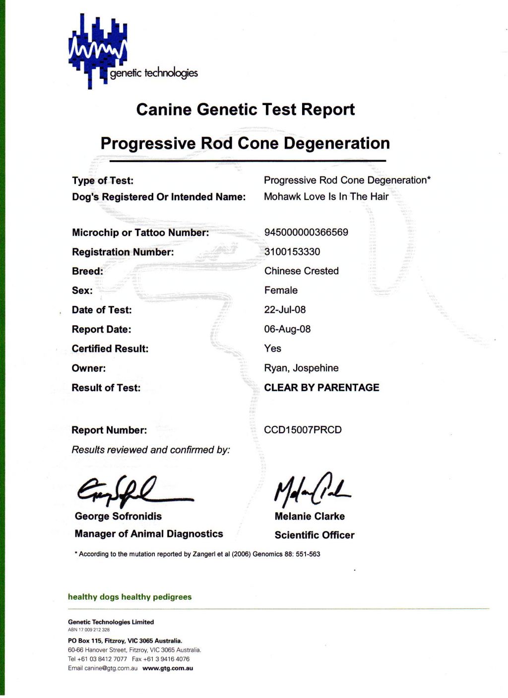 Mohawk Love Isin Thehair