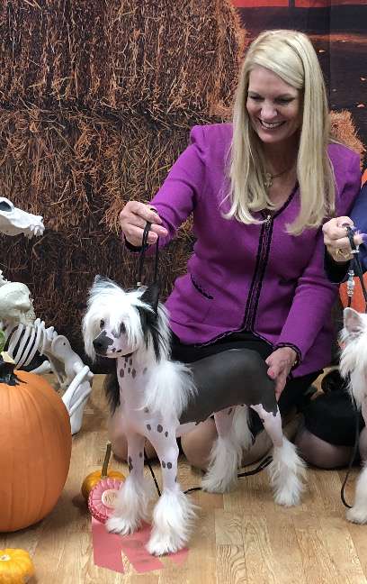 Black's Native Dancer At Carrera