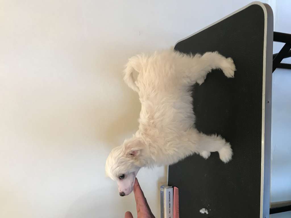 UnAmor Pablo El Guerrero