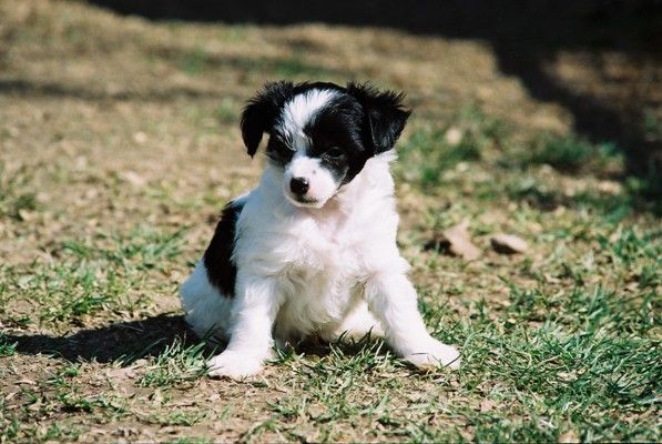 Laureola's Keep Smiling
