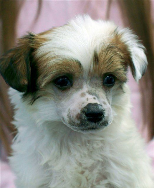 Rain In My Heart iz Diamond Sity