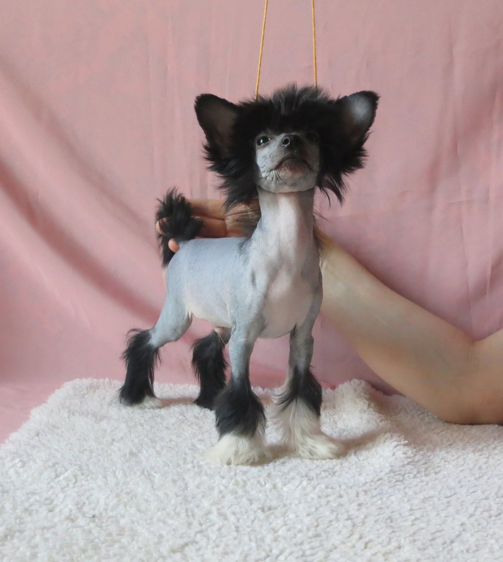 Vernisazh Mari Bon Pari