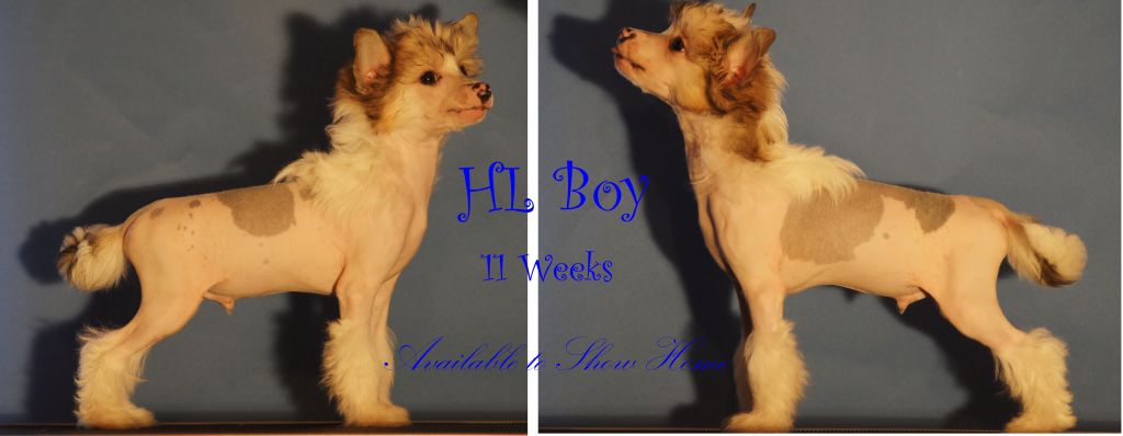 Picture