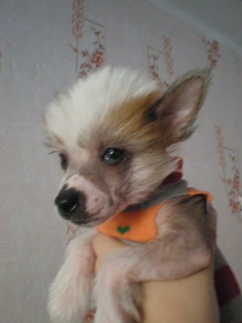 Picture