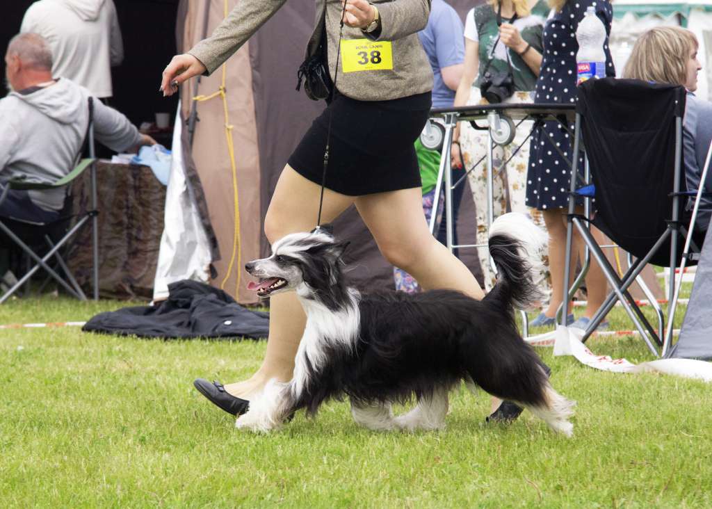 Marppulan Bee Is My Dad