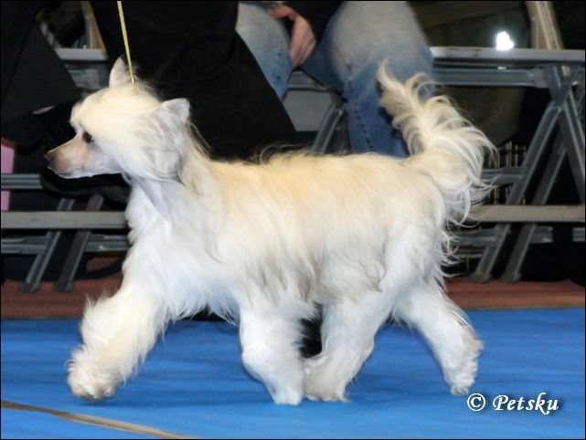 Zhannel's Kiss Hunter