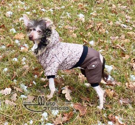 Muso Grazioso Addicted to Chocolate