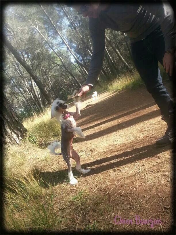 Elene de le Chien Bourjois