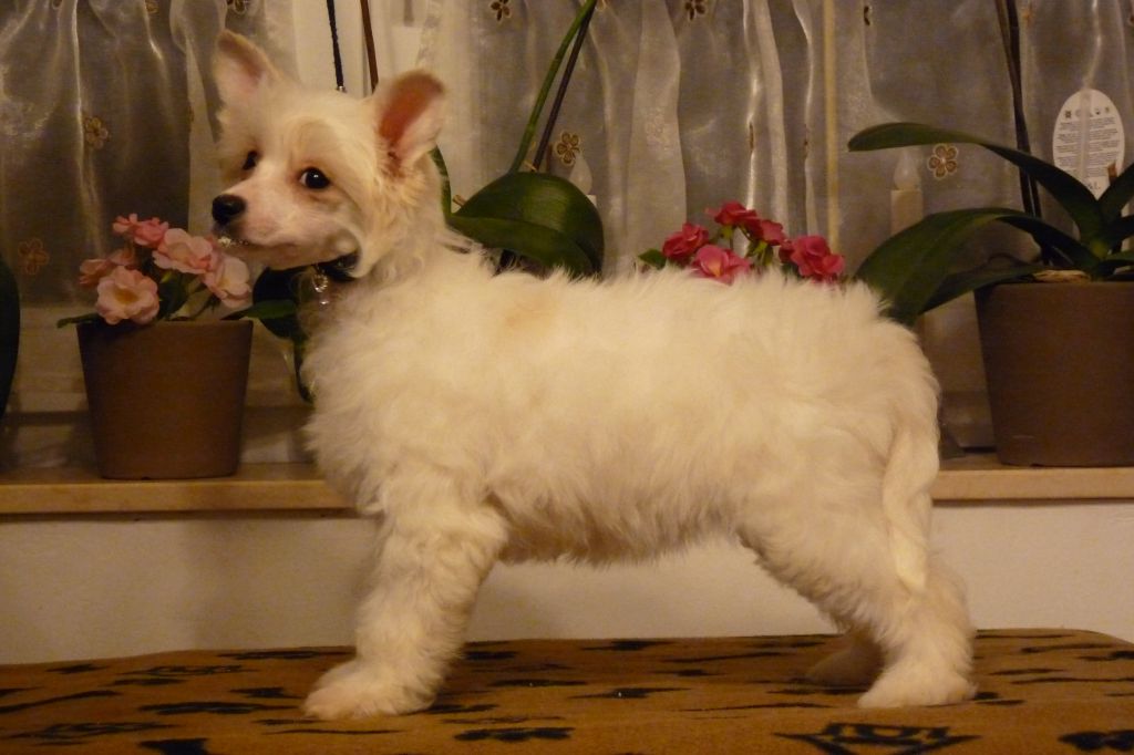 Fundoklia-völgyi Kaszanics Stefi