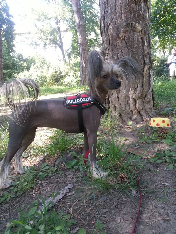 Eurynomé z Pulnocního dvora