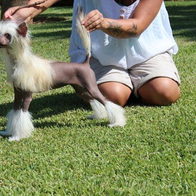 Omegaville Kick Up A Dust