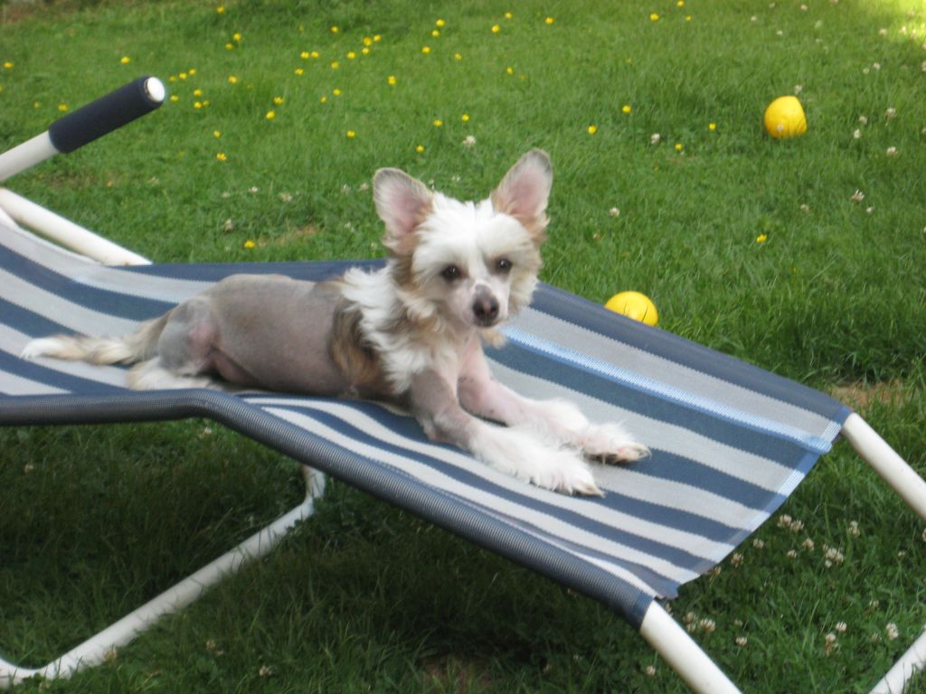 Picture