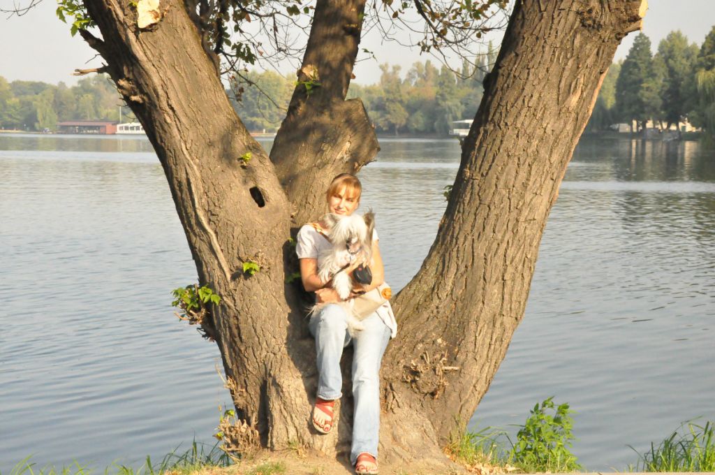 Picture