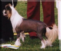 Suanho's Tribal Beat