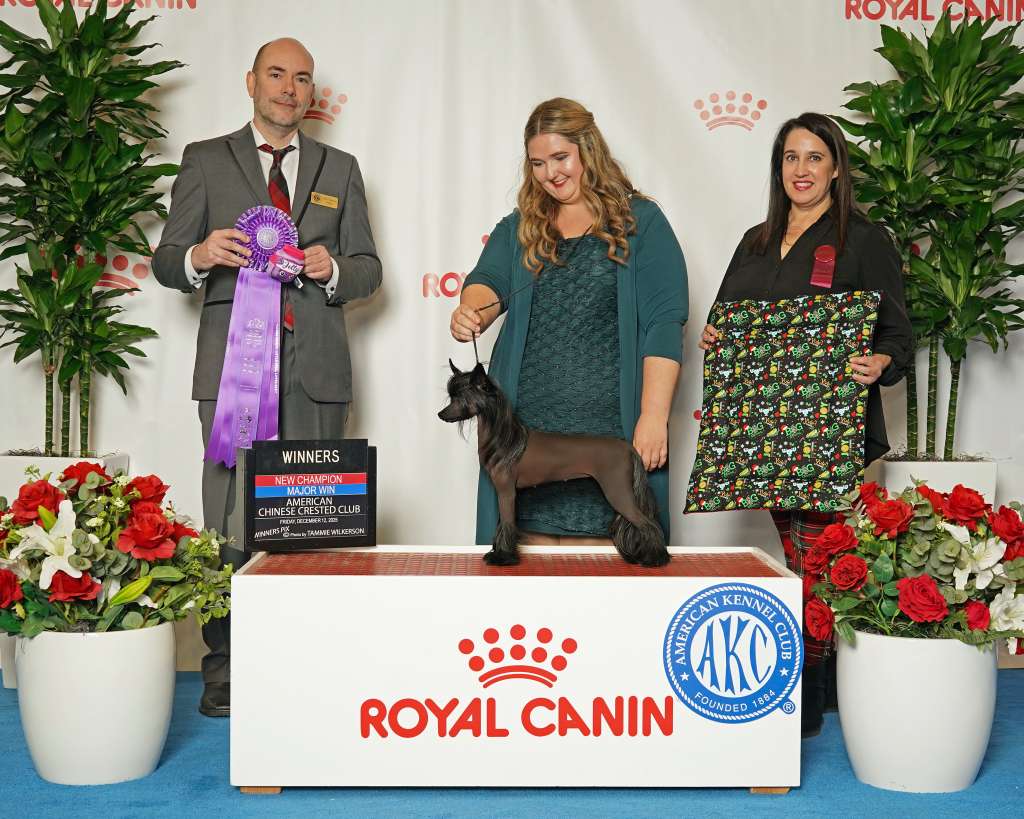 Kaylen Ariellas Black Dahlia