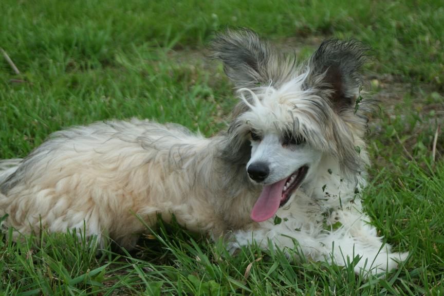 Smedbys Grand Marnier