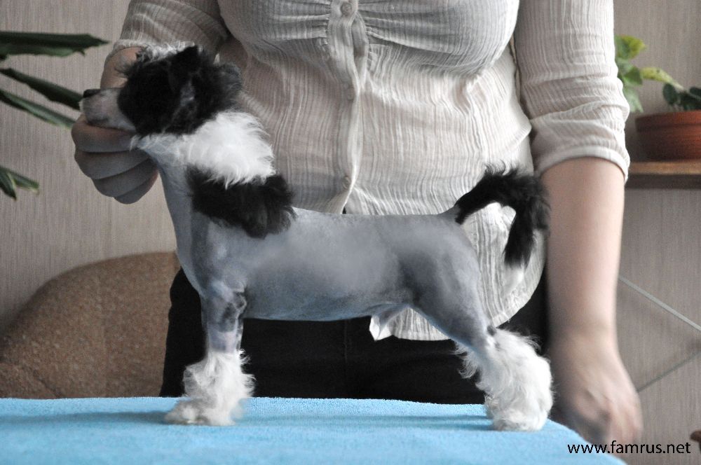 Touch Beauty  Buena Suerte