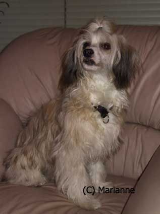 Joyway's Easter Surprise