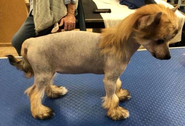 HyKrest Breaker!Breaker!