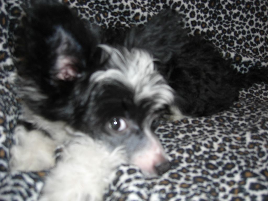 Doonbeg Stand and Deliver