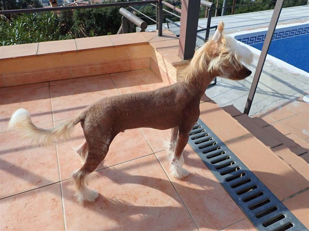 O'Neil des Zéphyrs de l'Olympe