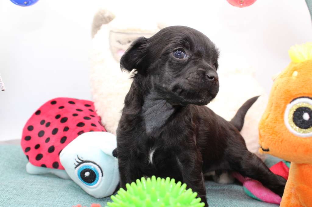 Una Sweet Love of Mine