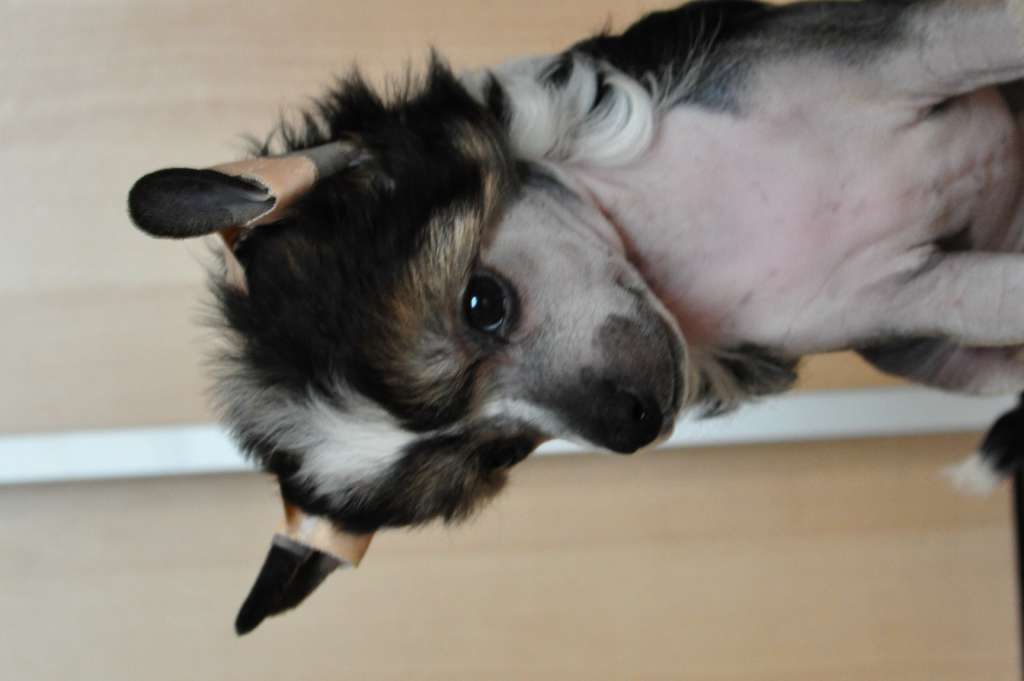 Bubbling Spirit Flash