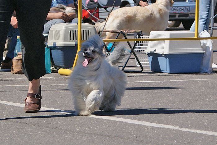 Subway Extremely Hot Chokolate