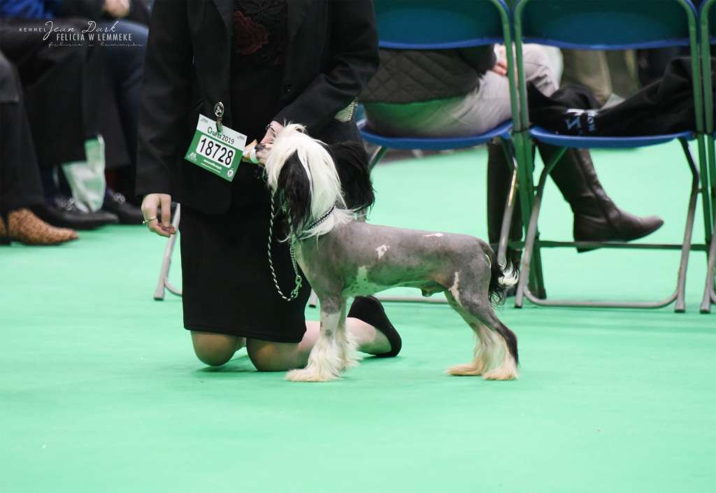 Jean Dark Man In The Mirror