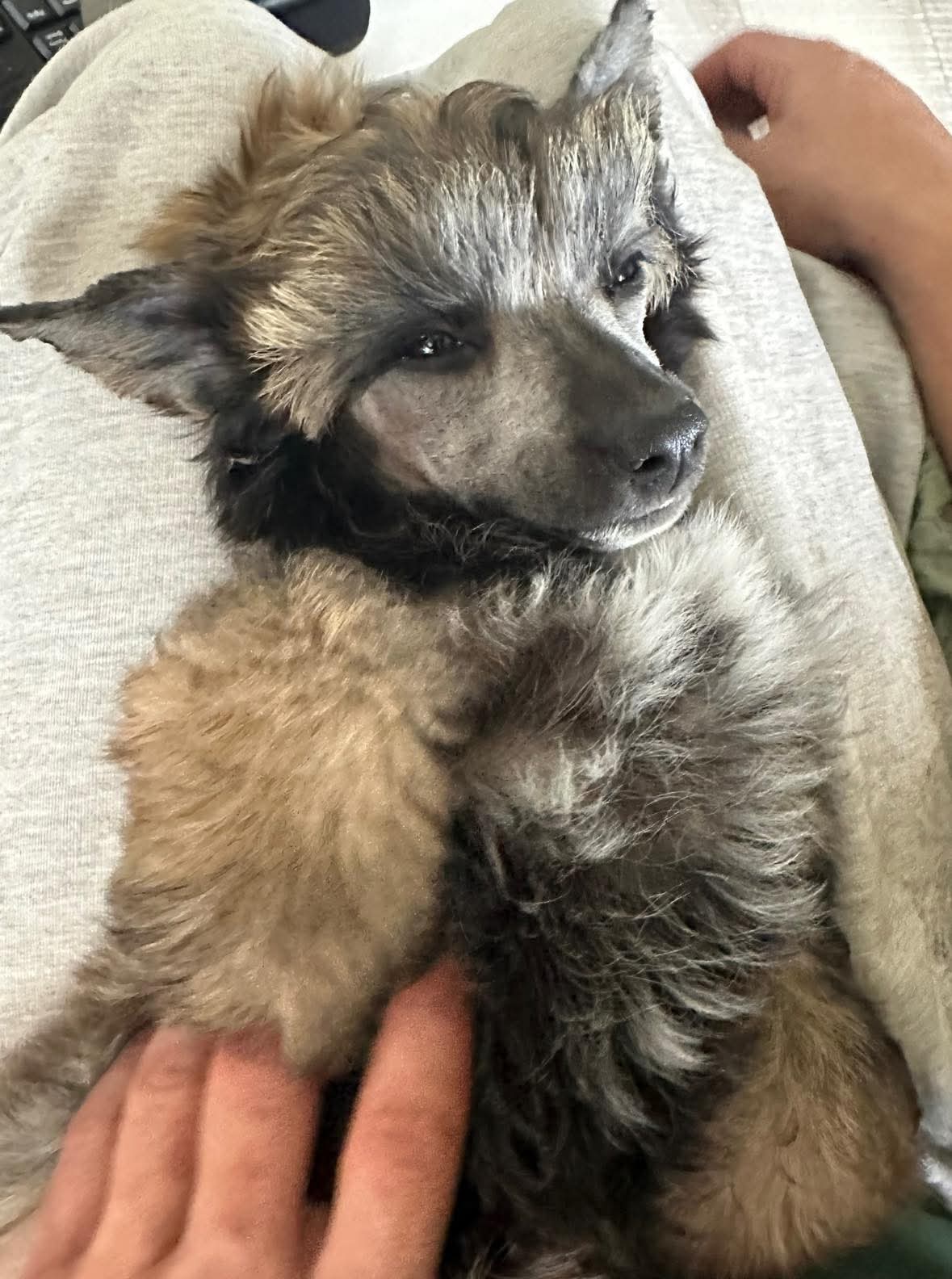 Kalimera's Wonder Woman