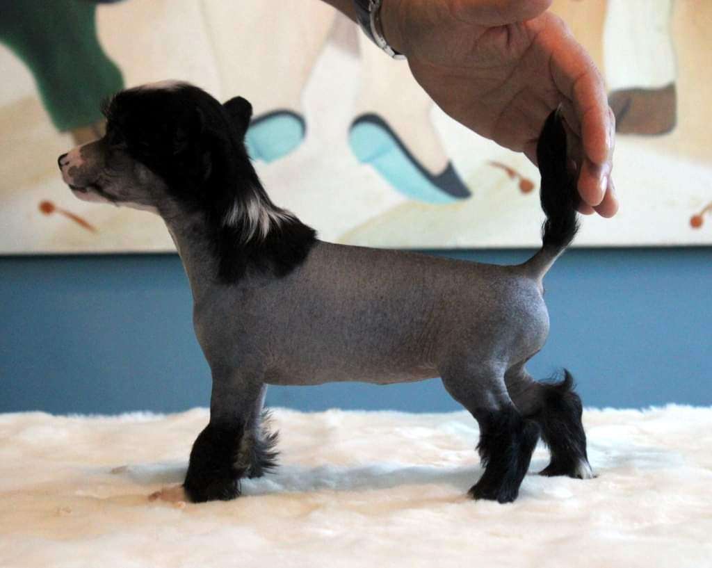 Moon Harbour T Es Belle