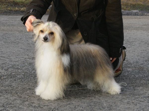 Selfcresteem's Song In Silence