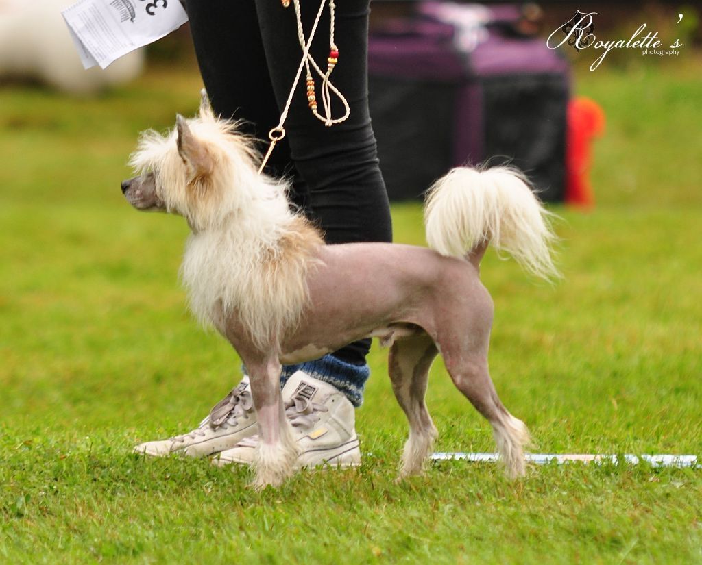 Kaitlin Big Bang Theory