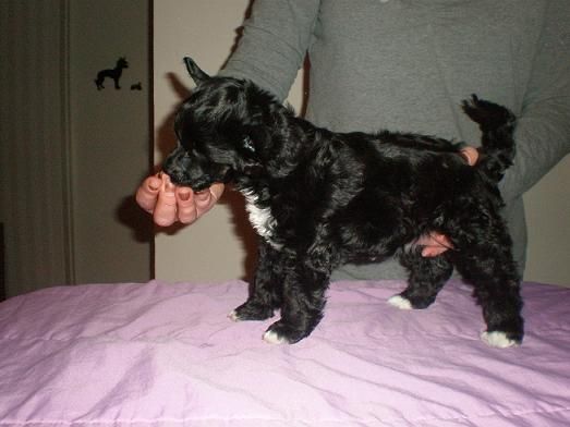 Lucky Line's Hallelujah Moment