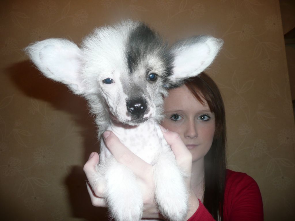 Picture