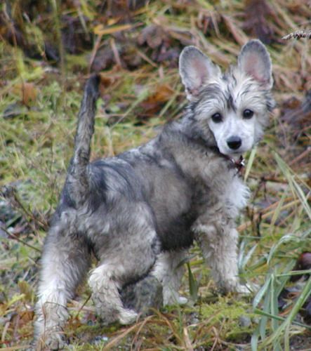 Twice as Nice En Vogue