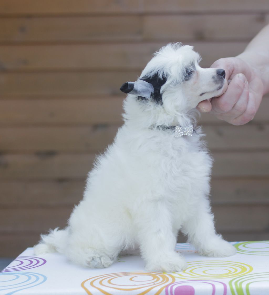 Vernisazh Mari Jeffrey